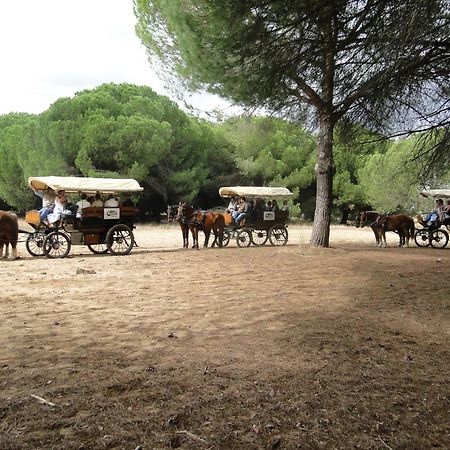 Hotel Ardea Purpurea Villamanrique De La Condesa Zewnętrze zdjęcie