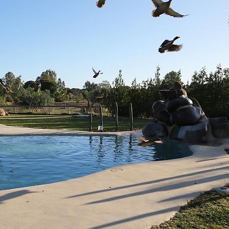 Hotel Ardea Purpurea Villamanrique De La Condesa Zewnętrze zdjęcie
