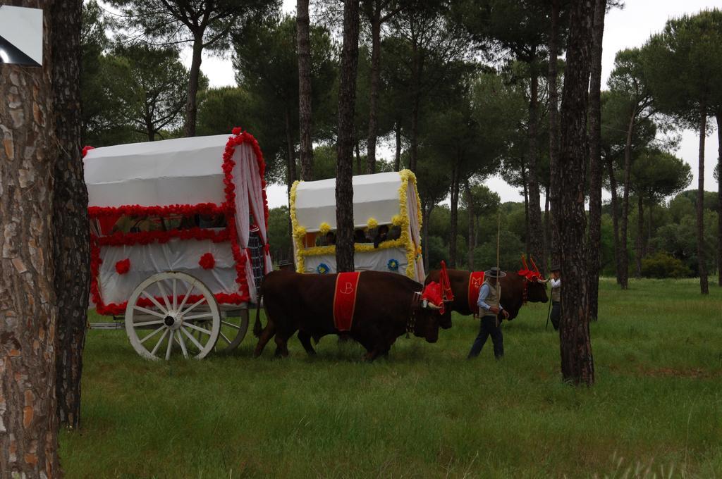 Hotel Ardea Purpurea Villamanrique De La Condesa Zewnętrze zdjęcie