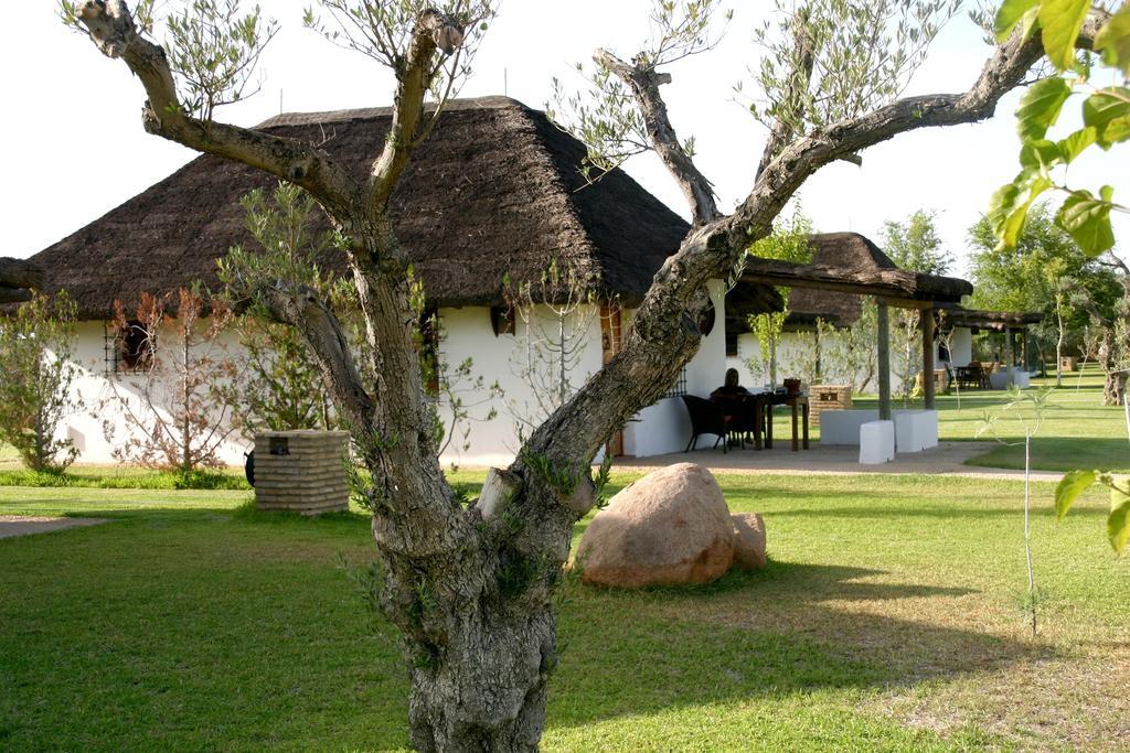 Hotel Ardea Purpurea Villamanrique De La Condesa Zewnętrze zdjęcie