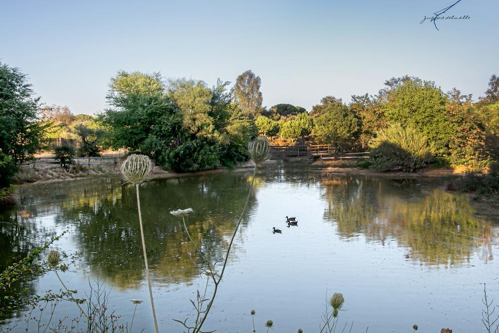 Hotel Ardea Purpurea Villamanrique De La Condesa Zewnętrze zdjęcie