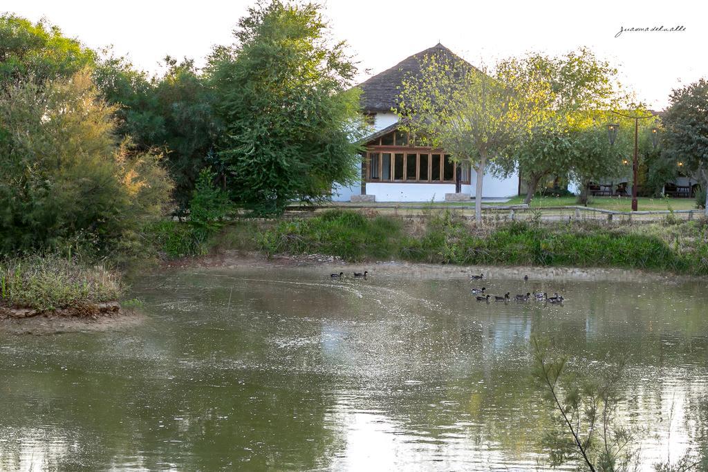 Hotel Ardea Purpurea Villamanrique De La Condesa Zewnętrze zdjęcie