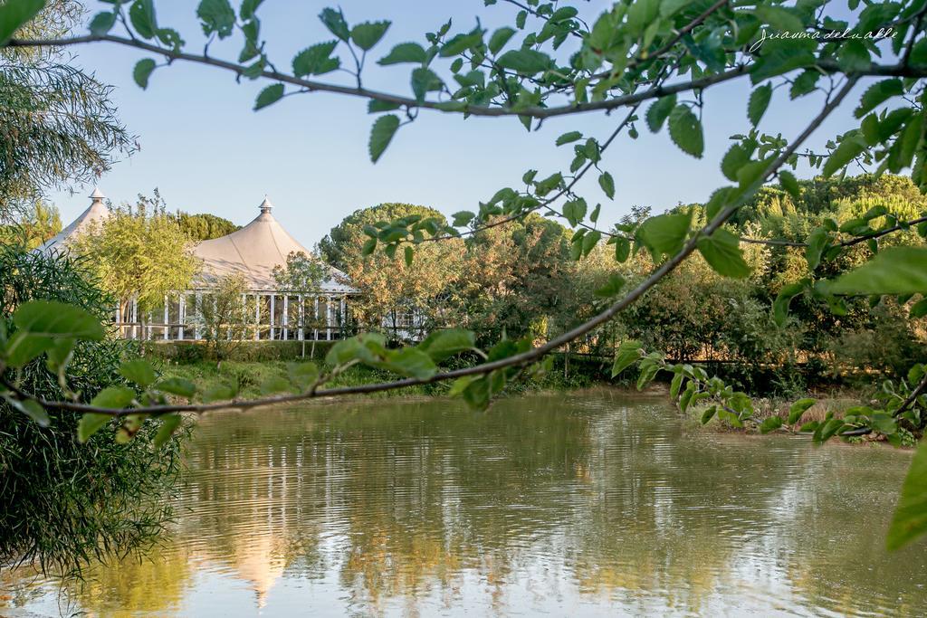 Hotel Ardea Purpurea Villamanrique De La Condesa Zewnętrze zdjęcie