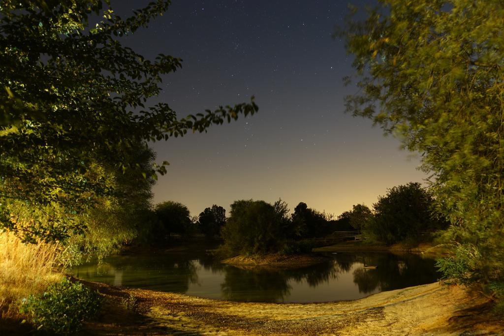 Hotel Ardea Purpurea Villamanrique De La Condesa Zewnętrze zdjęcie