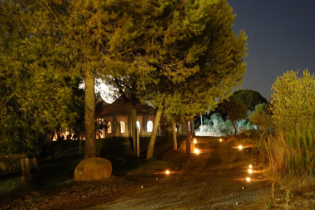 Hotel Ardea Purpurea Villamanrique De La Condesa Zewnętrze zdjęcie