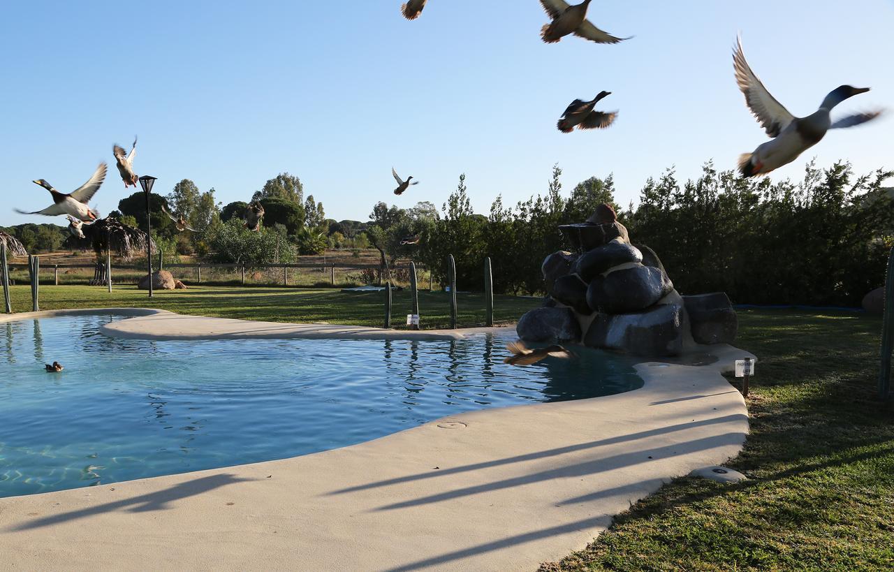 Hotel Ardea Purpurea Villamanrique De La Condesa Zewnętrze zdjęcie